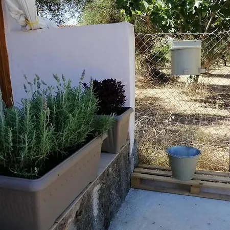 Holiday home κτήμα κωνσταντόπουλου οι επισκέπτες μας είναι και δικοί μας άνθρωποι.!