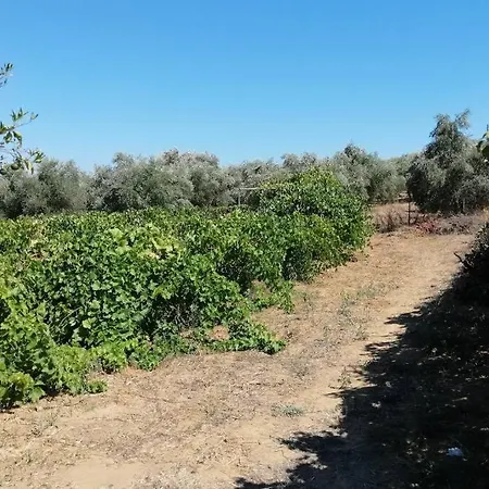 κτήμα κωνσταντόπουλου οι επισκέπτες μας είναι και δικοί μας άνθρωποι.!