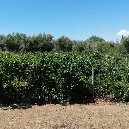 κτήμα κωνσταντόπουλου οι επισκέπτες μας είναι και δικοί μας άνθρωποι.! Prázdninový dům